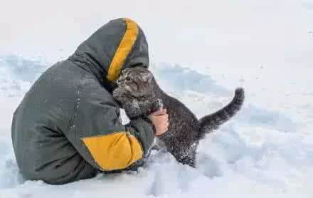 南方人见到雪有多兴奋 第一次见到雪的南方人~