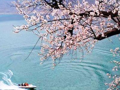 最美不过初相见小说 最美不过初相逢