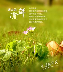 流年影院人民的名义 纪念失去的流年