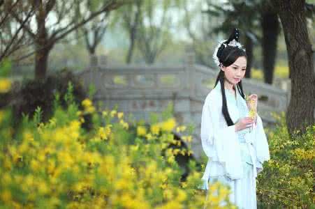 女人花 女人花惹人醉【移動音畫】