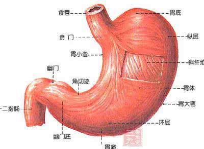 胃癌的症状及治疗 胃癌的症状 怎样有效治疗胃癌