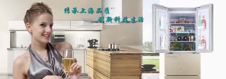 冰箱什么牌子好又省电 冰箱使用 冰箱怎样使用省电 精