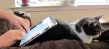 电脑辐射对精子的影响 电脑辐射对精子的影响 电子产品辐射会影响精子质量