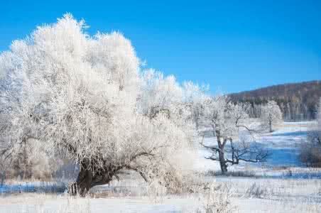 葫芦娃都有什么本领 冬天都有什么本领呢?