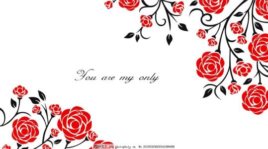 玫瑰花的花边 花边上的玫瑰