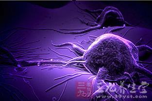 肺腺癌脑转移靶向治疗 Nature Commu靶向细胞骨架抑制肿瘤转移新发现