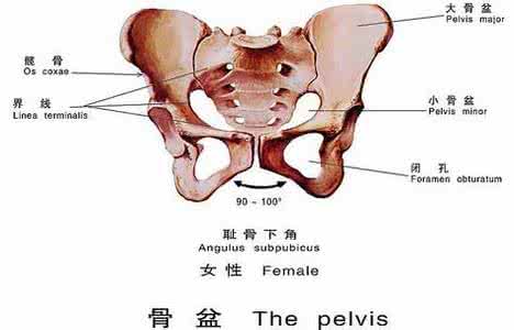 女性髋骨疼痛的原因 女性髋骨内疼痛的原因?