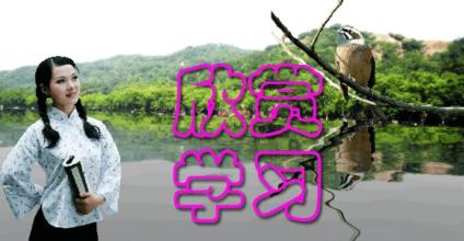 羽绒服的清洗方法 100个什么都可以洗的清洗方法