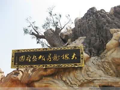 山西洪洞县大槐树 引用 引用 洪洞县大槐树