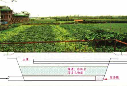 污水土地处理法 论污水土地处理
