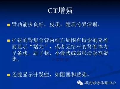 犬病鉴别诊断与防治 《CT诊断与鉴别诊断》