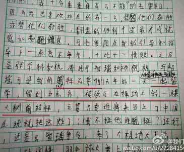什么笑了作文 什么笑了作文?