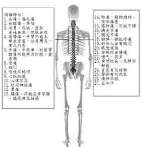 脊椎错位 脊椎错位，就发生在每个人身上！！！