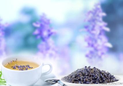 喝薰衣草茶有什么好处 薰衣草茶有什么营养价值