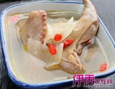 清炖枸杞鸽子汤 清炖枸杞鸽子汤 美味又营养的鸽子汤做法大全
