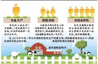 农村合作经济组织 论农村专业合作经济组织与土地流转的结合