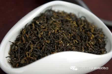 祁红毛峰和香螺区别 创新祁红毛峰、香螺与传统祁门工夫的区别对比