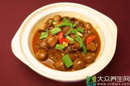 怎样煮狗肉才好吃 自己生狗肉怎么煮好吃？