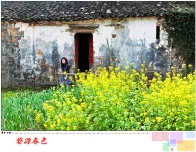 梦幻西游春色满园 婺源春色:有一种梦幻般的感觉(图)