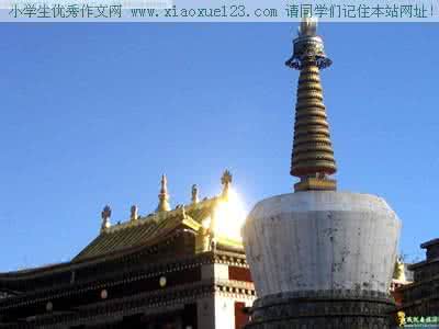 游塔尔寺作文 游塔尔寺