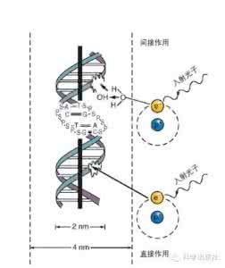 化学生物地理 化学地理生物效应