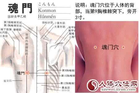 图解魂门穴的作用与好处