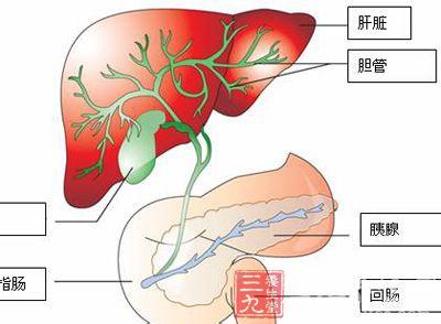 胆管癌晚期死前症状 胆管癌症状 如何有效治疗胆管癌