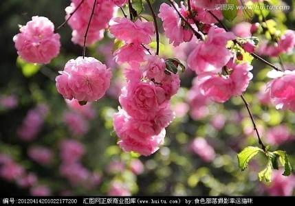 芽庄跳伞 钩针作品----伞“芽”