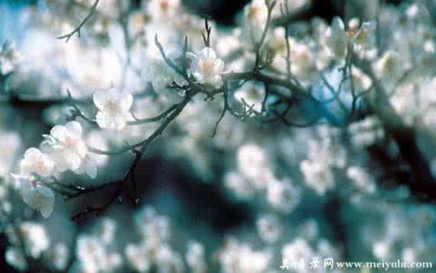 无关风月只为真心 有一种文字无关风月只关你【情感美文】