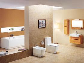 实用电子技术轻松学 10个实用小妙方 轻松打造卫浴健康