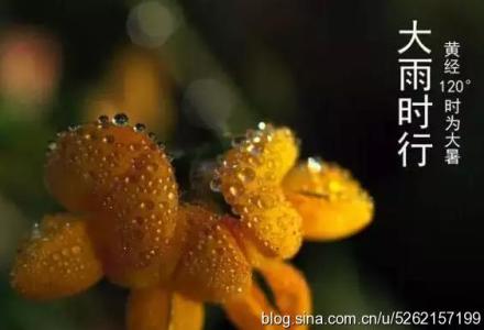 指甲上这东西竟是 大暑天你最需要的竟是这东西