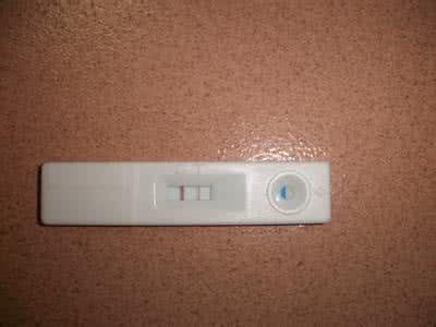 早早孕试纸检查 早早孕试纸怀孕图片 如何使用早孕试纸检查怀孕
