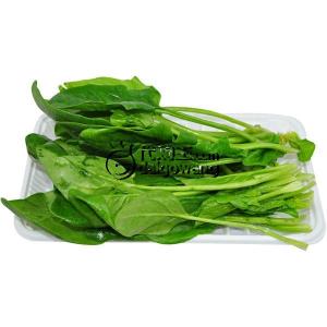 时令蔬菜 时令蔬菜保鲜小窍门!
