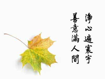 宽容和包容的区别 包容 宽容 从容