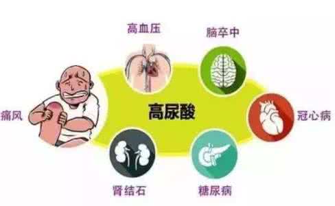 如何控制尿酸过高 控制尿酸 如何控制好你的尿酸