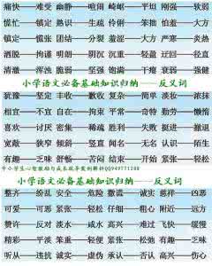 知识渊博的反义词 必备知识:反义词大全