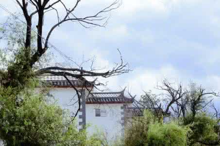 隐藏自己的锋芒 学会隐藏自己的锋芒