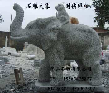 风水大象应该怎样摆放 风水大象的摆放 大象如何摆放才能起风水作用