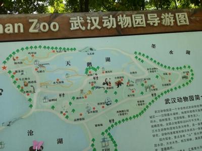 武汉汉阳动物园 武汉汉阳动物园 【汉阳动物园】武汉汉阳动物园介绍