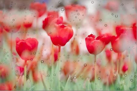 如何让自己的生活充实 让平平淡淡充实自己的生活