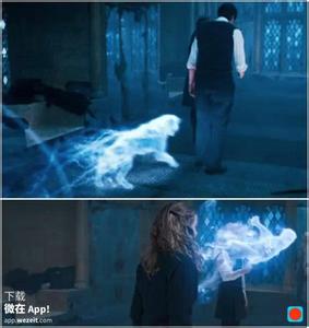 哈利波特中的七个魂器 13 个《哈利·波特》中你从来没发现过的隐藏剧情
