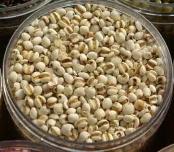 薏米降血糖 吃薏米降血糖