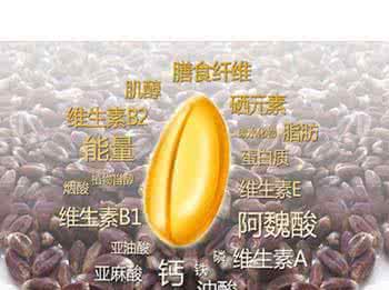 黑小麦的功效与禁忌 黑小麦的营养价值