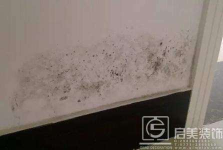 房子发霉怎么办？这几招学起来！