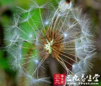 银翘解毒片 解毒误区 别再中解毒片的毒了