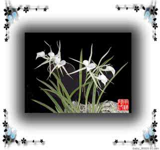 越剧兰花吟张琳 【精品图文】兰花吟10篇（下）