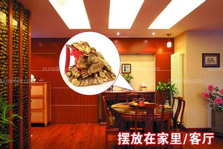 金蟾的正确摆放位置 公司店铺居家金蟾的正确摆放方法?