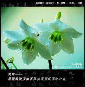 海棠花精灵王解雨 中年感悟(配乐朗诵)海棠花雨