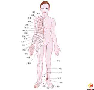 程凯经络养生视频 程凯谈经络穴位养生 【经络养生】八个人体养生急救穴位图解