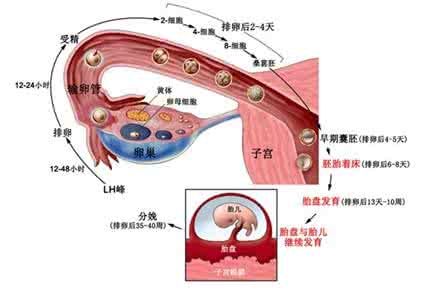 宫颈囊肿常见的体征 宫颈炎症是什么？体征需注意哪些地方？
